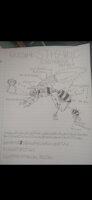 STH2WOC BOSS 4 EGG HORNET CONCEPT ART by ScalySexFanatic - sonic, idea, concept art, film, sequel