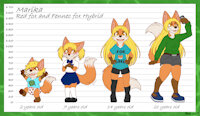 Marika Age Progression (Reference Sheet) by Ratzmaus - diaper, fox, female, reference sheet, age, fennec, age difference, red fox, fennec fox, reference, sfw, female/solo, aged up