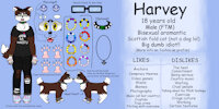 Harvey Ref Sheet [2021] by CrookedAnchors - cat, boy, kitty, male, reference sheet, man, guy, ref, transgender, fursona, ref sheet, reference, ftm, female to male, scottish fold, updated design, scottish fold cat