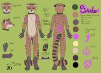 Scinder Ref Sheet by Scinder - male, n/a, africanpalmcivet
