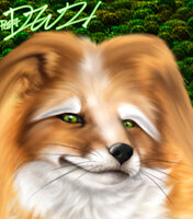 Desheerah Oúnel by RW74 - female, friend, collie, unforseen circumstances