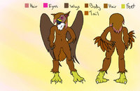 HawkEye Ref. by TrueHawkEye - male, reference sheet, bird, girly, hawk, wings, hawkeye, truehawkeye