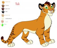 First Tuli Ref by Tuli - female, feral, liger