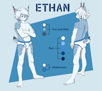 Ethan The canadian lynx new design by FelixSandcatKitten - kemono, cat, boy, feline, shota, male, teen, underwear, undies, briefs, lynx, kemoshota, speedo, white hair, underpants, tightywhities, tighty whities, tighty-whities, canadian lynx, y fronts