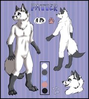 Patter Ref by jesslyra - fox, male