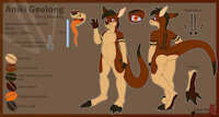 Aniki (Coffee Roo) ref sheet by aniki - male, kangaroo, marsupial, sheet, ref, coffee