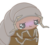 Dangomushi the pill bug by orake - sketch, female, original, digital, insect, original characters, sketching, digital art, pillbug, original character, digitalart, originalcharacter, originalcharacters