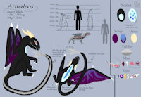 Armaleos by Armaleos - dragon, sheet, oc, reference, armaleos