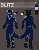 Blitz Winters by BlitzWinters - wolf, character, blitz, male-herm, blitz winters
