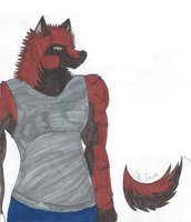 Barron by Rumble - wolf, male, moon, brother, ref