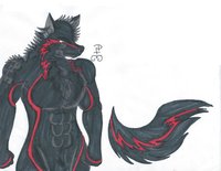 War by Rumble - wolf, male, ref, moon brother