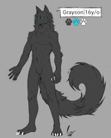 Grayson character sheet. by Eclipsedown - male, reference sheet, character sheet, timber wolf