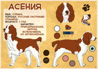 CM - Aseniya - new ref by Doroshevae - dog, female, reference sheet, canine, reference, spaniel, russian hunting spaniel