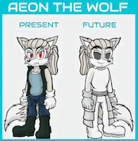 Meet aeon by baal666 - experiment, wolf, male, character sheet, sonic fan character