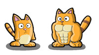 muscle cat by raon453 - cat, muscle, furry, male/male, orange fur