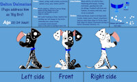 Dalton Dalmatian by SapphireAtlas98 - dog, puppy, male, reference sheet, canine, feral, oc, dalmatian, ref-sheet, oc only, 101 dalmatian street, dalton dalmatian
