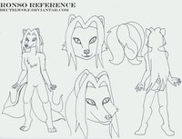 ref sheet for a white fox by beuchan - fox, male, white, artic