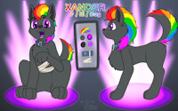 Xander ref sheet by AlbinoRayneDeer - dog, male, diamond, mohawk, collar, ref sheet, bandage, rainbow hair