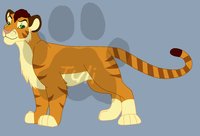 Tuli by Tuli - female, liger