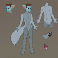 Max refference sheet by ScarletSoftPaws - wolf, male, commission, base