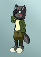 Alek the Wolf BIO by LateNightOtaku - wolf, male, adult, sub, bdsm, young, mutt, submissibe