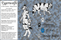 Tygerwolfe - 2013 Char Sheet by DarkwolfUntamed - wolfess, female solo, striped wolf