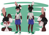 OC: Leon Silverhare (Old Design) by StarRabbit - cub, bunny, male, rabbit, character sheet, cinnamon rabbit, amab
