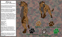 Alex - 2013 Character Sheet by DarkwolfUntamed - character sheet, spotted hyena, male solo