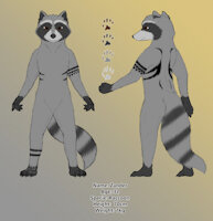 Reference Sheet - Zander by ZanderTheRaccoon - raccoon, male, reference sheet, tattoo, tattoos, ref, m, ref sheet, reference, zander