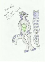 Firewolf ref sheet by Firewo1f - dragon, female, wolf, hybrid, sheet, ref