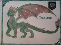 Terracon by Whitehowler - dragon, male, character sheet, original character