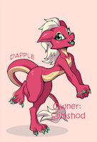 Dapple the Kobold by Sorc by slimshod - female, reference sheet, character sheet, anthro, scalie, kobold, mydapple