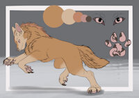 wolf plum by PlumVaguelette - female, wolf, reference sheet, alternate version, plum vaguelette