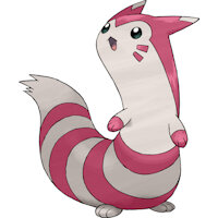 Patty Friedman by RobintheRaccoonDude - pokemon, character sheet, pokemon oc, shiny furret