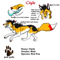 Clyde Fox Reff Sheet by ShadowWulf - fox, male, feral, clyde