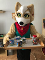 SkyMcCloud by SkyMcCloud - fox, male, starfox, fox mccloud, fursuiting, fursuit, foxboy, fursuiter, lylat