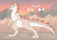 Peach Ref Sheet by ShadowEyenoom - female, dinosaur, dino, ceratosaurus, jurrasic