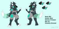 Protogen Fursona Character Reference Sheet by RileySkullDragon - male, furry, fursona, character reference sheet, protogen