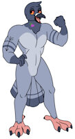 Pecks by AaronAmethyst - male, reference sheet, bird, character sheet, muscular, avian, tattoo, heart, ref, ref sheet, reference, pigeon, m solo, muscular male