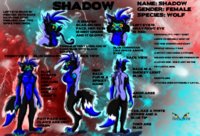 Shadow Reff Sheet by ShadowWulf - female, wolf, anthro, shadow, sheet, reff