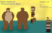 Apennine reference sheet - by GarionGaer by Rennearc - bear, reference sheet, anthro, furry, sheet, reference, refsheet, not my art, nma, apennine, haruyun, gariongaer