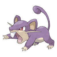 Tyler Cooper by RobintheRaccoonDude - pokemon, character sheet, rattata, pokemon oc