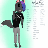 Fursona - Maek by SurtseySnow - fox, male, oc, fursona, ref sheet, lore