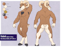 Kabsh Ref Sheet - SFW by Gebji - ram, male, horns, nubtail