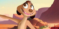 The Jungle Guard: Adira by SammyAlle - female, meerkat, character, character profile, thejungleguard, adirathemeerkat