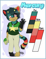 Mercury's ref sheet by QuicksilverCat - cub, cat, boy, male, tortoiseshell, stuffed animal, age 8