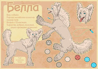 CM - Bella reference by Doroshevae - dog, female, reference sheet, canine, chinese crested dog