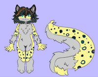 ¡Roxy! by Thedarksnep - cub, female, snow leopard, serval, hybrid, snep