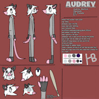 Audrey Reference Sheet by hiddenbird - female, reference sheet, marsupial, solo, ref sheet, reference, opossum, possum, baseball bat, virginia opossum, solo female