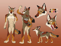 Yops Ref (SFW) by PsychedelicYops - coyote, anthro, feral, ref sheet, yote